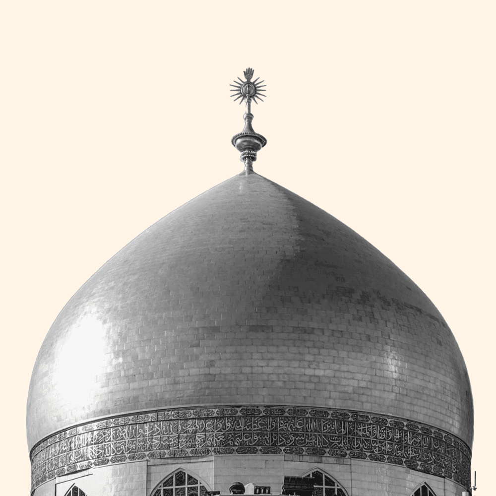 النجف — فرع النجف
